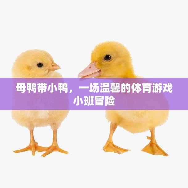 母鴨小隊(duì)，溫馨的體育游戲小班冒險