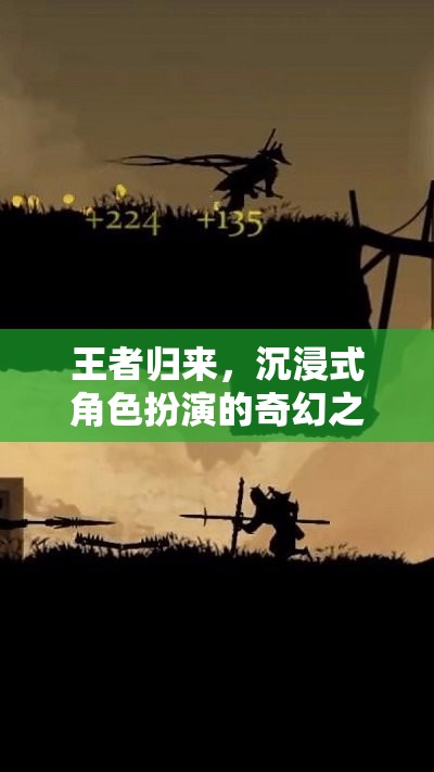 王者歸來，沉浸式角色扮演的奇幻之旅  第3張