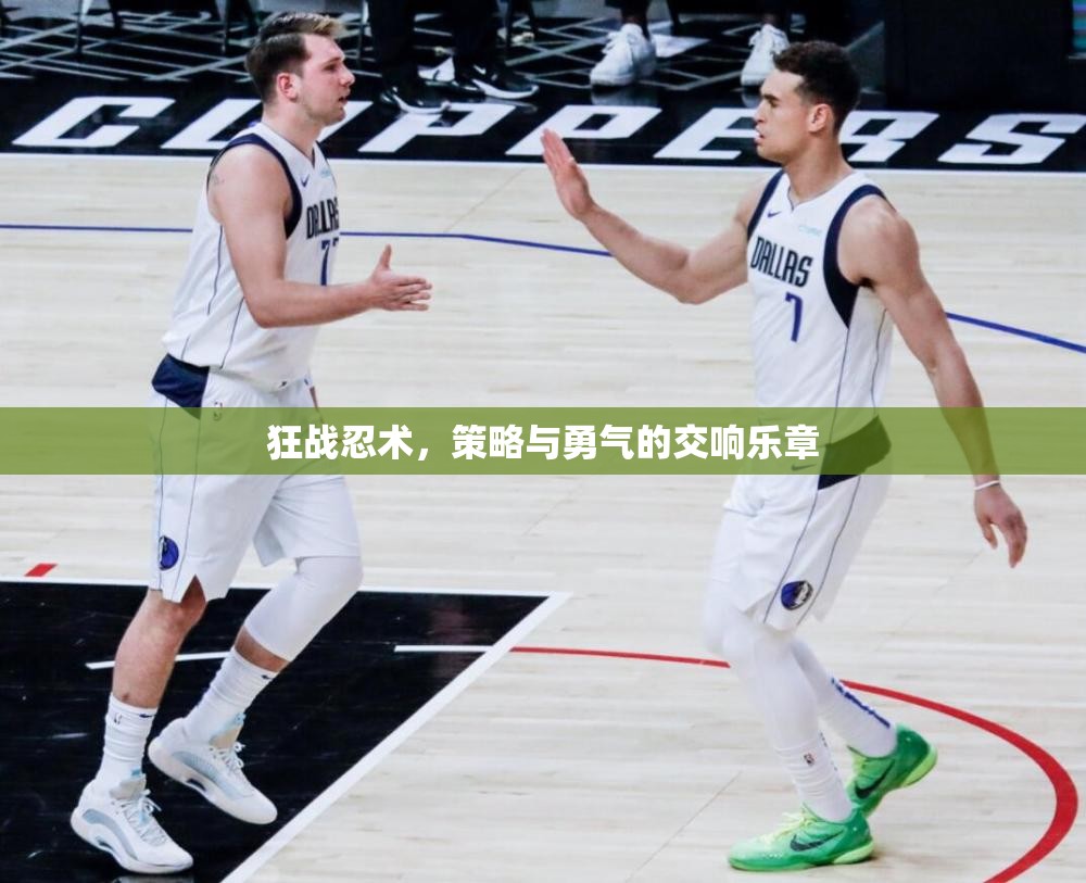 狂戰(zhàn)忍術(shù)，策略與勇氣的交響樂章