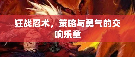 狂戰(zhàn)忍術(shù)，策略與勇氣的交響樂章