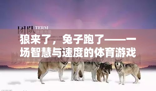 狼兔競速，智慧與速度的體育游戲盛宴