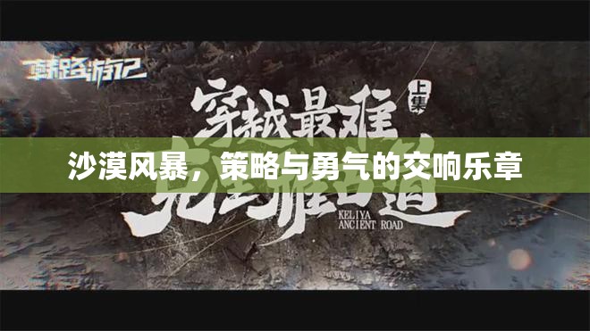 沙漠風暴，策略與勇氣的交響樂章