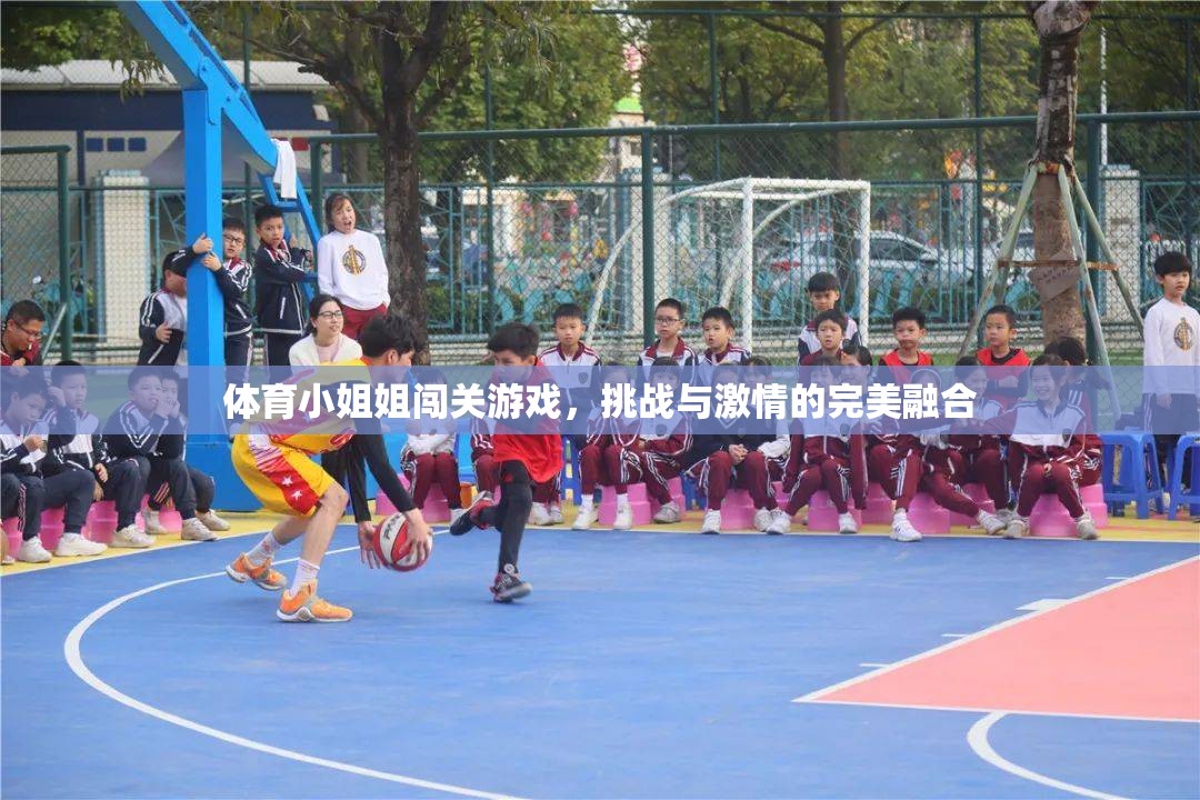 體育小姐姐的挑戰(zhàn)之旅，激情與勇氣的完美碰撞