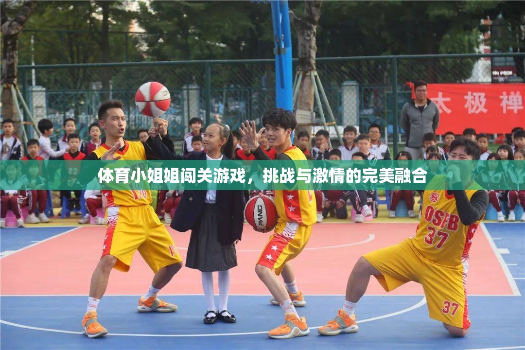 體育小姐姐的挑戰(zhàn)之旅，激情與勇氣的完美碰撞