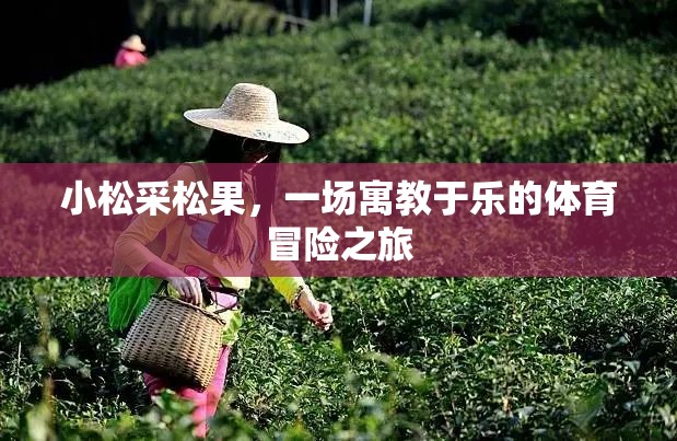 小松采松果，一場寓教于樂的體育冒險之旅