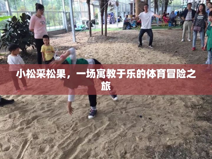 小松采松果，一場寓教于樂的體育冒險之旅