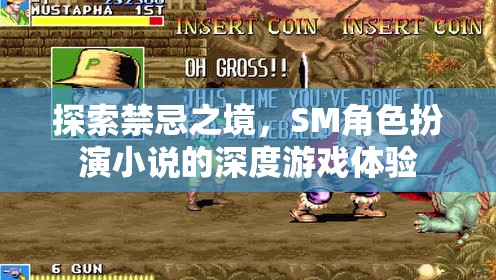 禁忌之境，探索SM角色扮演小說的深度游戲體驗(yàn)