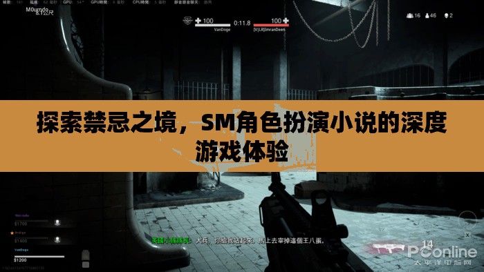 禁忌之境，探索SM角色扮演小說的深度游戲體驗(yàn)