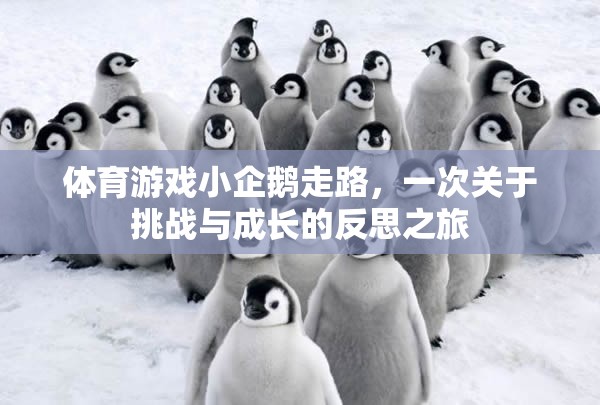 小企鵝的行走挑戰(zhàn)，一場(chǎng)關(guān)于勇氣與成長(zhǎng)的體育游戲反思之旅