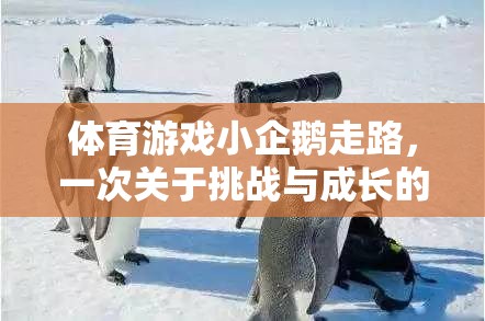 小企鵝的行走挑戰(zhàn)，一場(chǎng)關(guān)于勇氣與成長(zhǎng)的體育游戲反思之旅