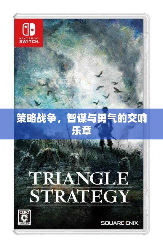 智勇交響，策略戰(zhàn)爭(zhēng)的魅力