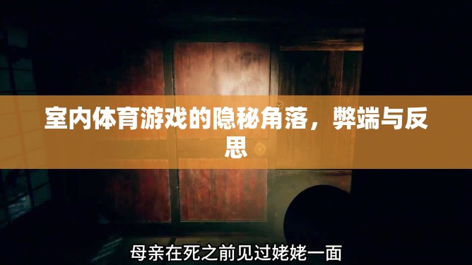 室內(nèi)體育游戲，隱秘角落的弊端與反思