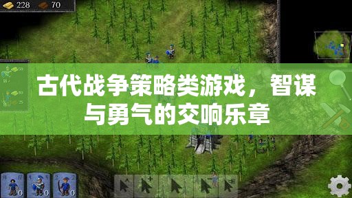 智謀與勇氣的交響，古代戰(zhàn)爭策略游戲