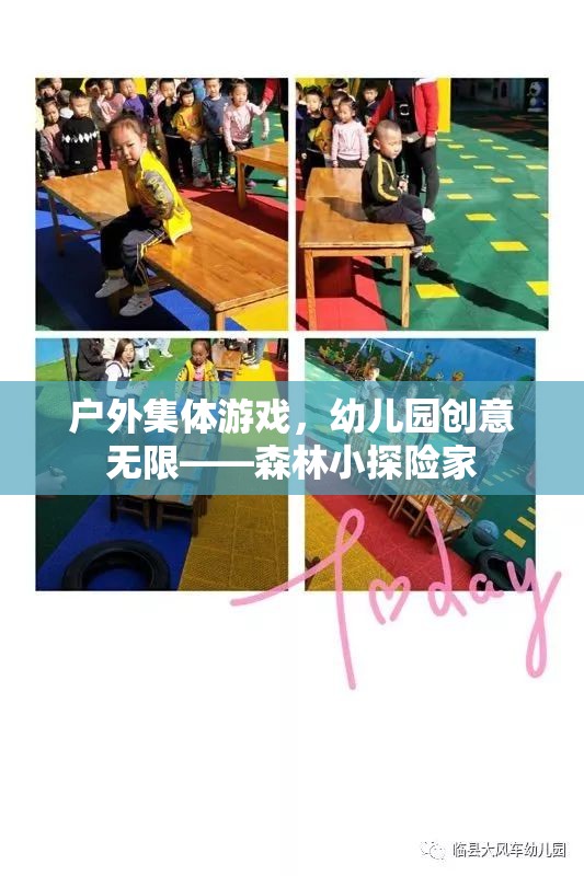 幼兒園戶外集體游戲，森林小探險家的創(chuàng)意之旅