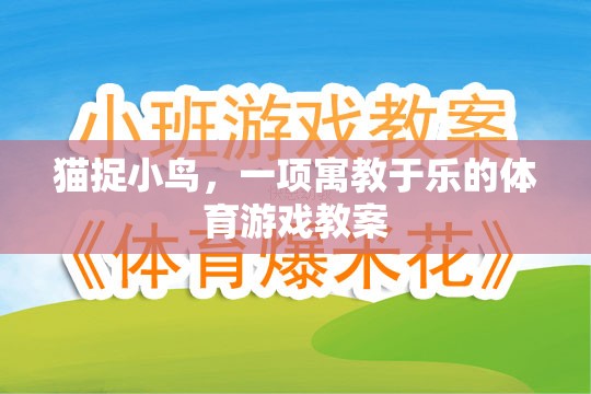 寓教于樂(lè)，貓捉小鳥(niǎo)體育游戲教案