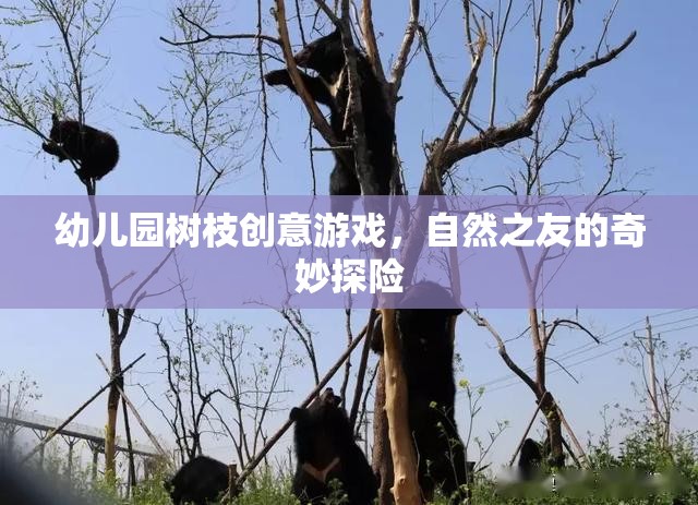 幼兒園樹枝創(chuàng)意游戲，自然之友的奇妙探險