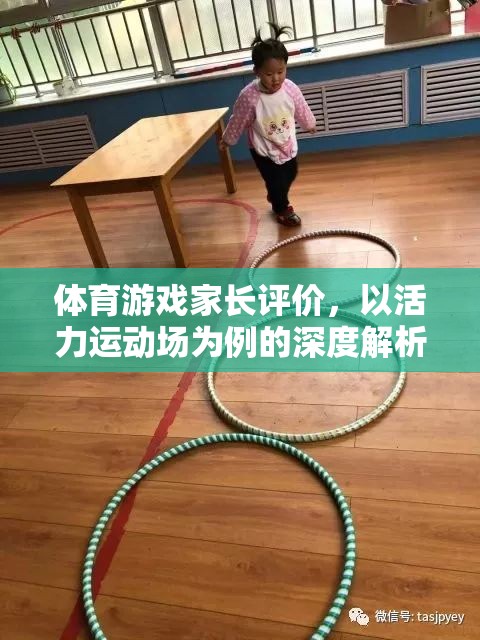 活力運(yùn)動(dòng)場，家長視角下的體育游戲深度解析與評(píng)價(jià)