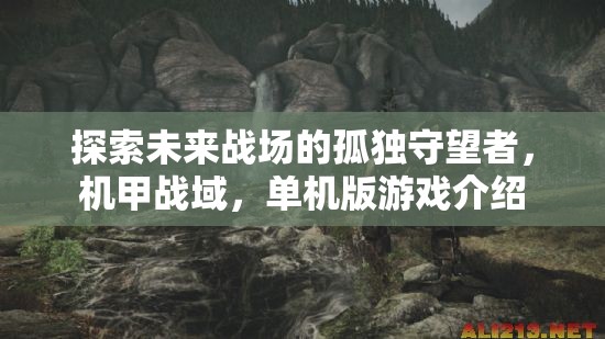 未來戰(zhàn)場的孤獨(dú)守望者，探索機(jī)甲戰(zhàn)域的單機(jī)版游戲之旅