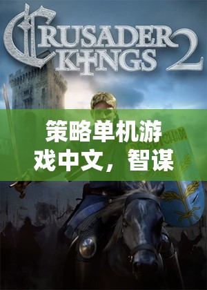 策略單機(jī)游戲中文，智謀與策略的深度探索——帝國(guó)風(fēng)云