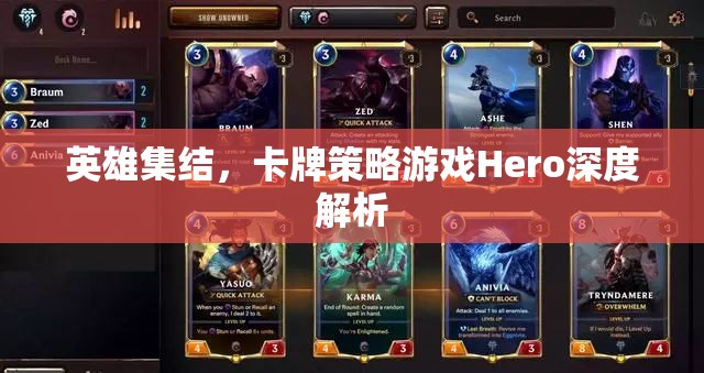 英雄集結(jié)，深度解析卡牌策略游戲Hero