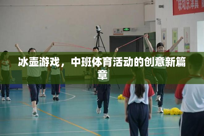 冰壺游戲，中班體育活動(dòng)的創(chuàng)新與樂(lè)趣新篇章