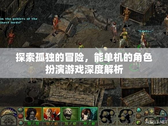 孤獨(dú)之旅，深度解析單機(jī)會(huì)話角色扮演游戲的魅力