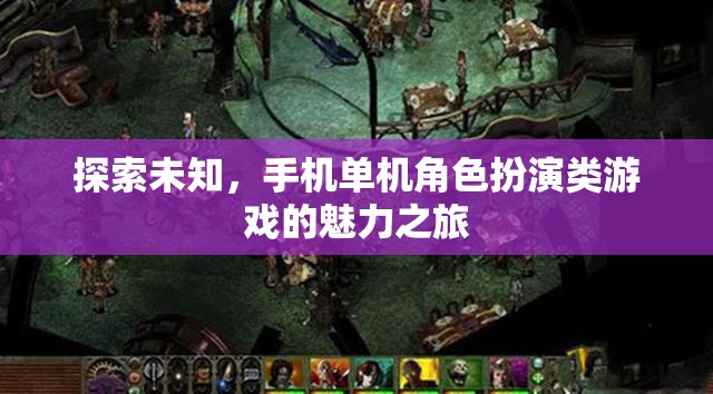 探索未知，手機(jī)單機(jī)角色扮演類游戲的魅力之旅