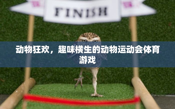 動(dòng)物狂歡，趣味橫生的動(dòng)物運(yùn)動(dòng)會(huì)體育游戲  第3張