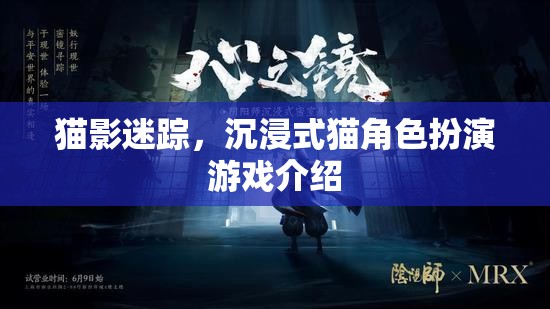 貓影迷蹤，探索沉浸式貓角色扮演的奇妙世界