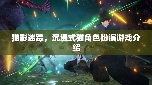 貓影迷蹤，探索沉浸式貓角色扮演的奇妙世界