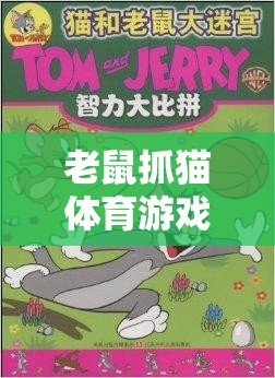 智慧碰撞，協(xié)作共贏，老鼠抓貓體育游戲教案