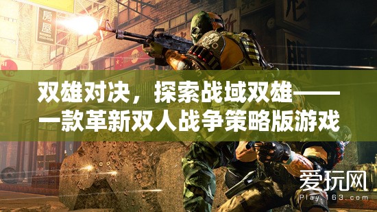 雙雄對決，探索戰(zhàn)域雙雄——一款革新雙人戰(zhàn)爭策略版游戲