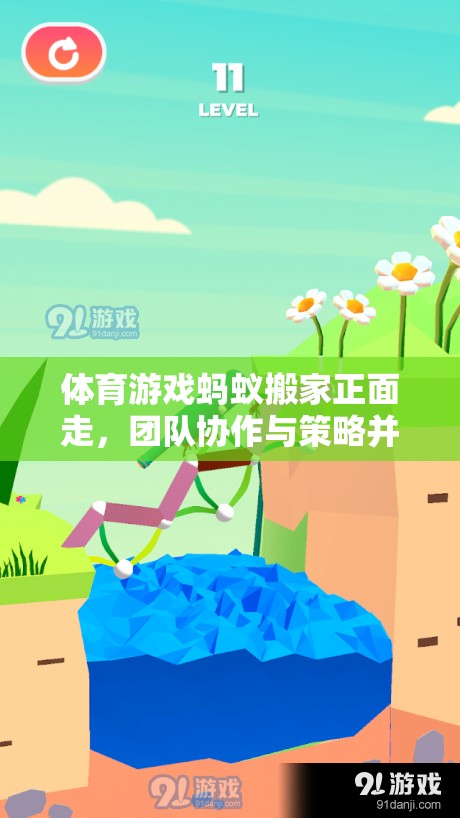 螞蟻搬家，團(tuán)隊(duì)協(xié)作與策略并行的趣味體育挑戰(zhàn)