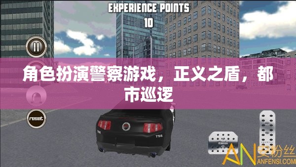 正義之盾，都市巡邏——角色扮演警察游戲的挑戰(zhàn)與榮耀