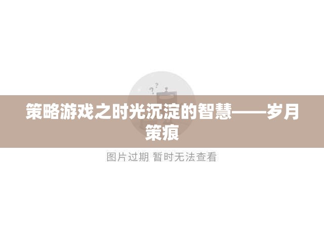 時光沉淀的智慧，歲月策痕中的策略游戲  第2張