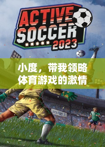 體育游戲，激情與智慧的深度直播探索