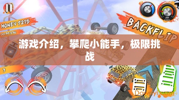 極限挑戰(zhàn)，攀爬小能手的驚險(xiǎn)之旅