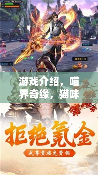 喵界奇緣，貓咪角色扮演的夢幻拍著之旅
