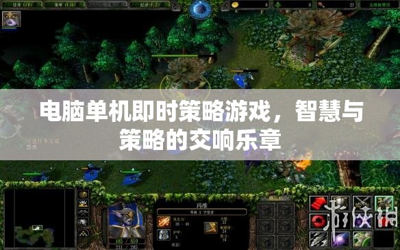 智慧與策略的交響樂(lè)章，電腦單機(jī)即時(shí)策略游戲  第2張