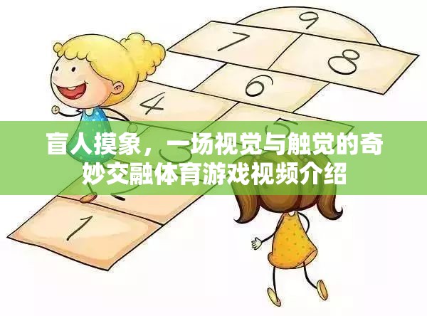 盲人摸象，一場視覺與觸覺的奇妙交融體育游戲視頻介紹