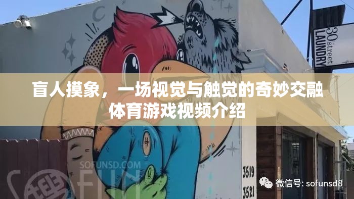 盲人摸象，一場視覺與觸覺的奇妙交融體育游戲視頻介紹