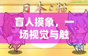 盲人摸象，一場視覺與觸覺的奇妙交融體育游戲視頻介紹