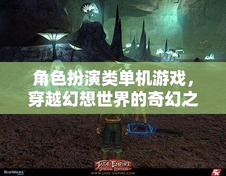 穿越幻想世界的奇幻之旅，角色扮演類單機(jī)游戲