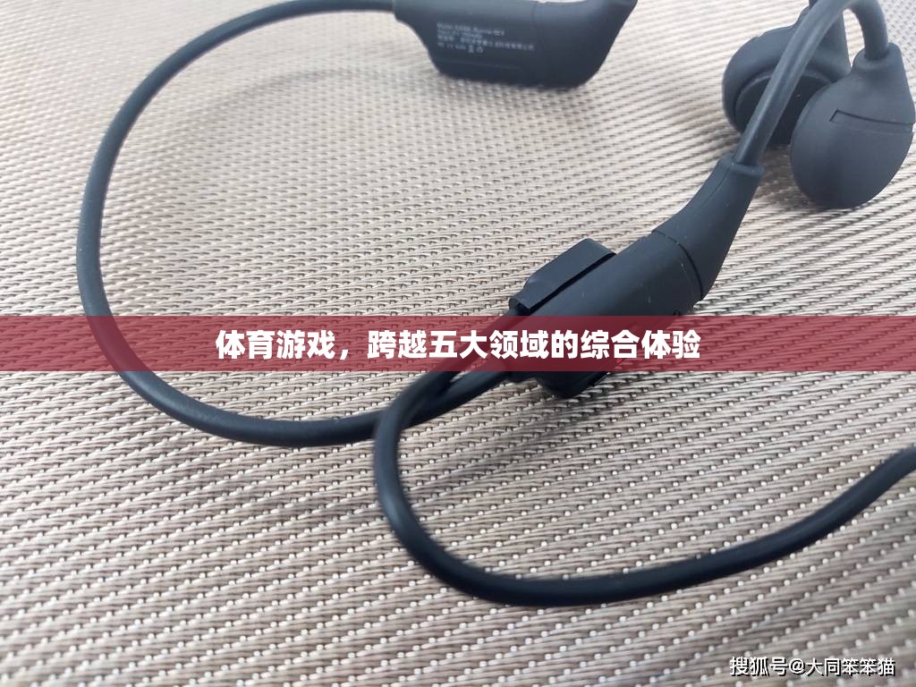 五大領(lǐng)域綜合體驗(yàn)，解鎖體育游戲的無限可能