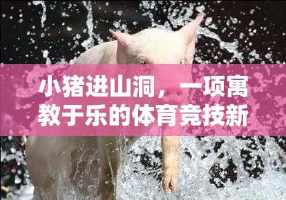 小豬進山洞，寓教于樂的體育競技新體驗