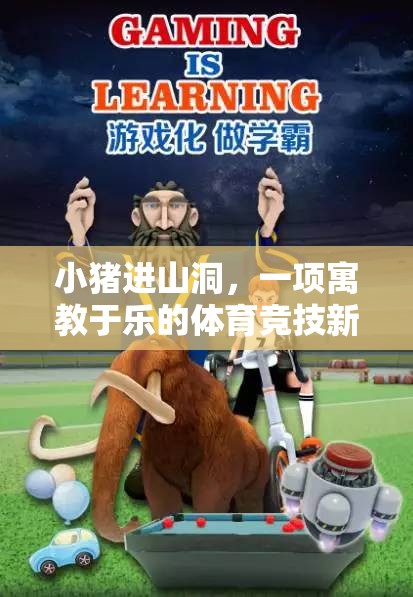小豬進山洞，寓教于樂的體育競技新體驗