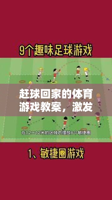 趕球回家，激發(fā)團(tuán)隊(duì)與個(gè)人技能完美融合的體育游戲教案  第3張