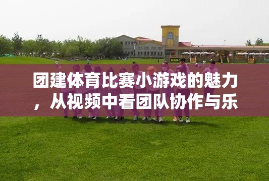 視頻揭秘，團建體育比賽小游戲的團隊協(xié)作與樂趣完美融合