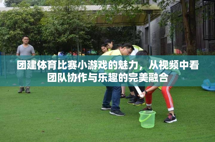 視頻揭秘，團建體育比賽小游戲的團隊協(xié)作與樂趣完美融合