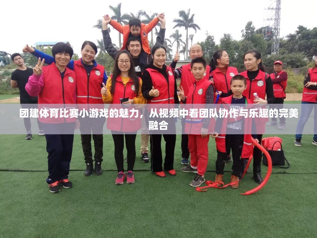 視頻揭秘，團建體育比賽小游戲的團隊協(xié)作與樂趣完美融合